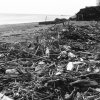 Spiaggia dopo il mare mosso d&#039;inverno